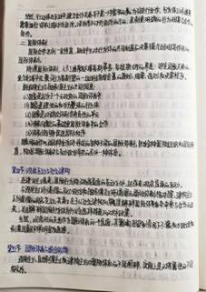 11.bmp